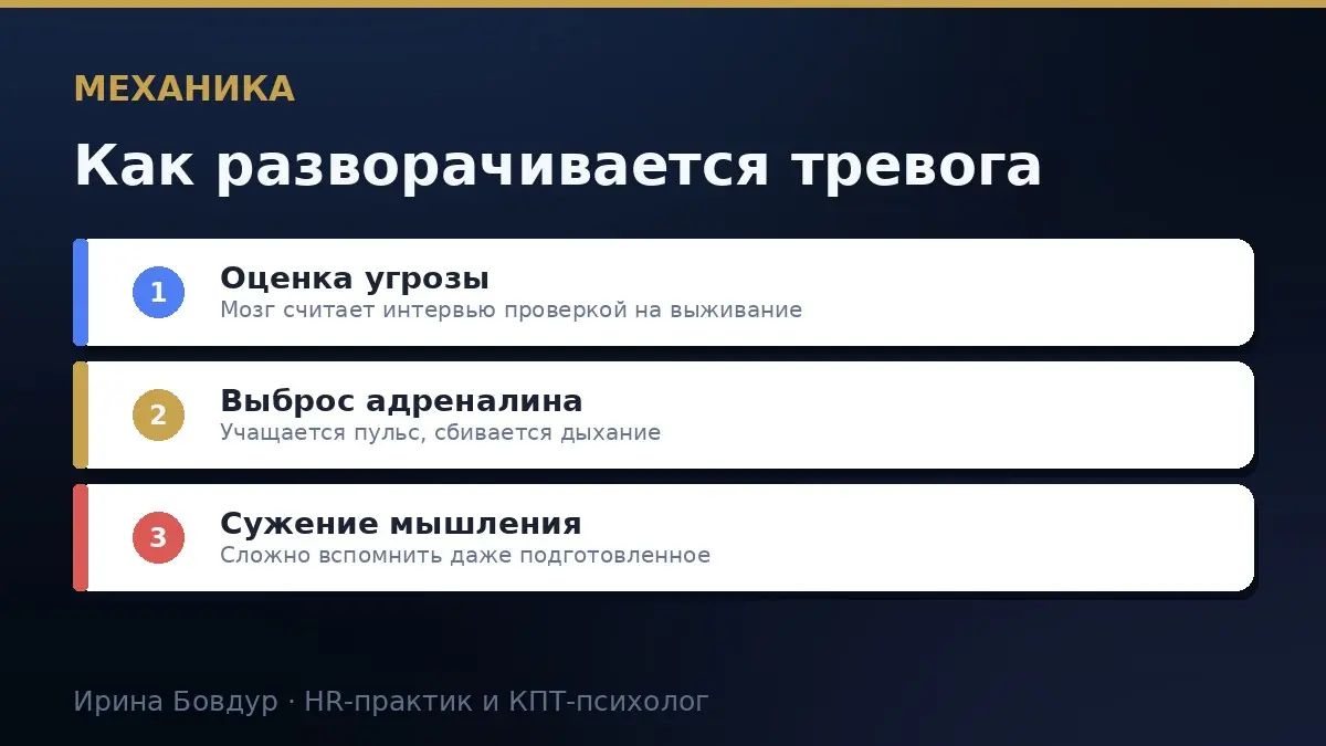 Как победить панику перед собеседованием | Сетка — социальная сеть от hh.ru