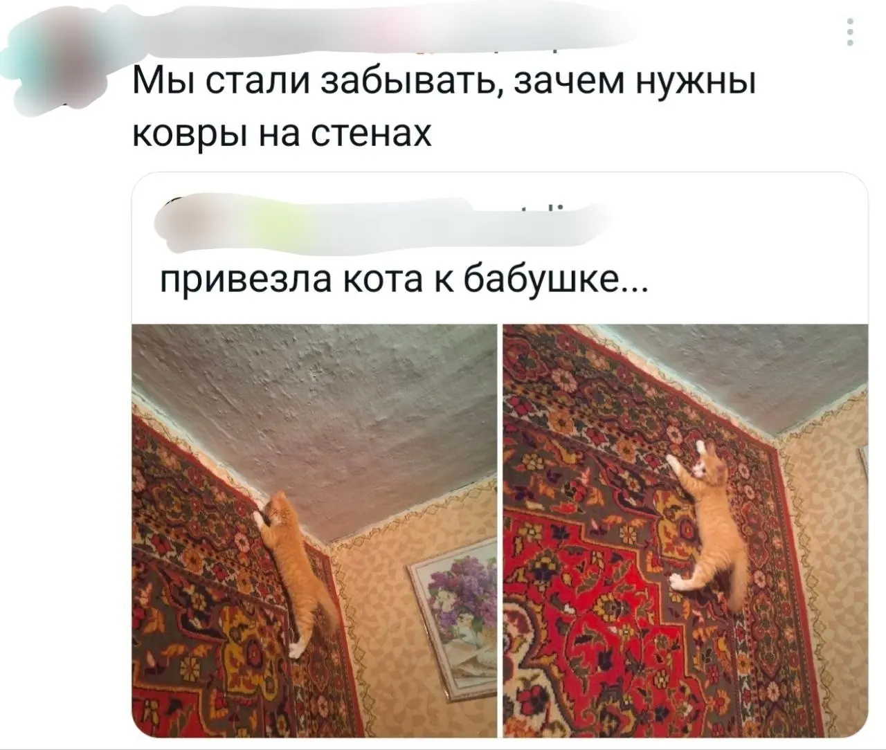 Новое применение 😂
БЛОГ В ТГ / БЛОГ В MAX
#Коты
В этом посте были ссылки, но мы их удалили по правилам Сетки | Сетка — социальная сеть от hh.ru