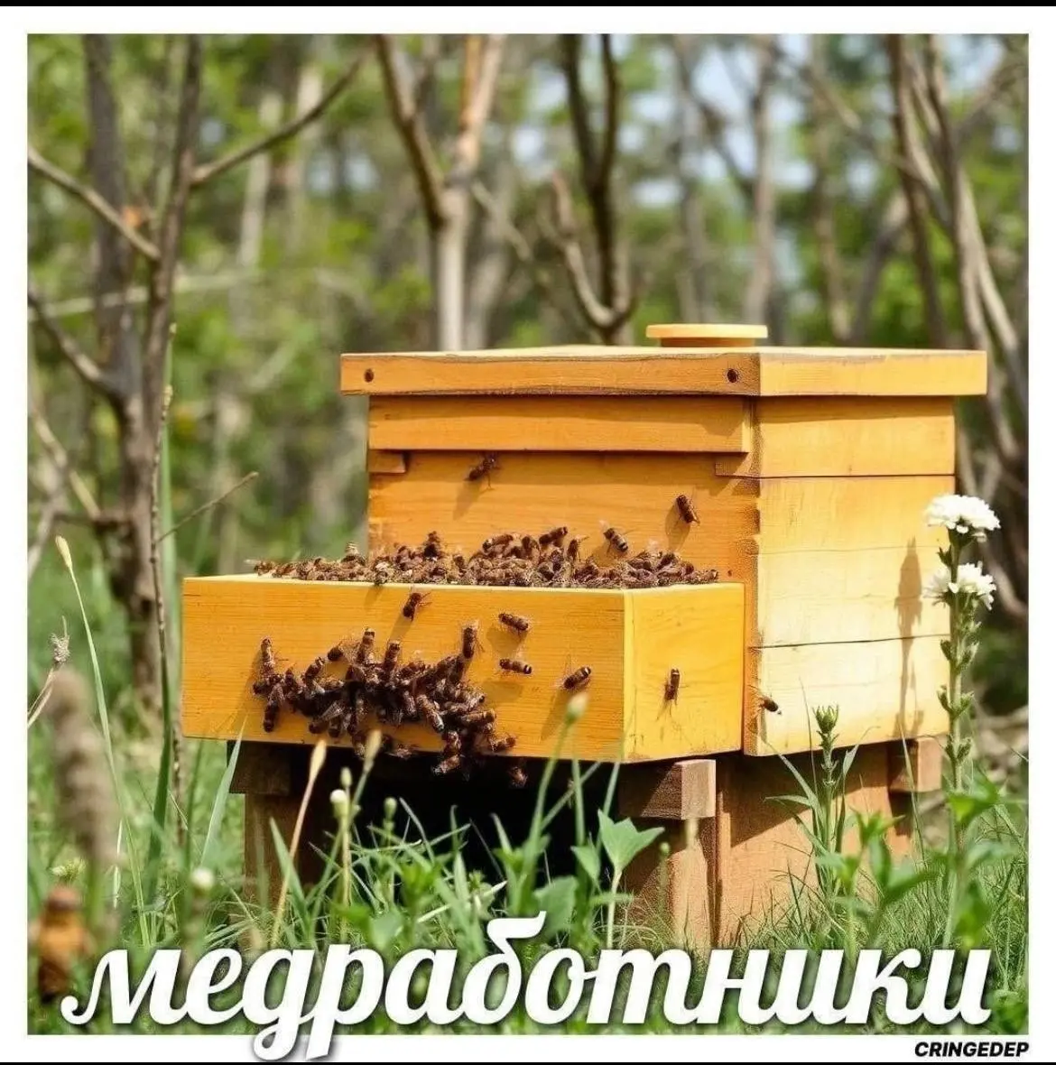 Я ё-амбассадор | Сетка — социальная сеть от hh.ru