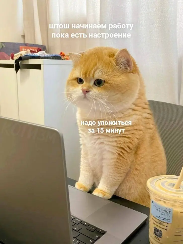 Почему Excel больше не справляется с планированием запасов в ритейле? 📊
Когда у вас сотни товаров и магазинов, таблицы превращаются в ад | Сетка — социальная сеть от hh.ru
