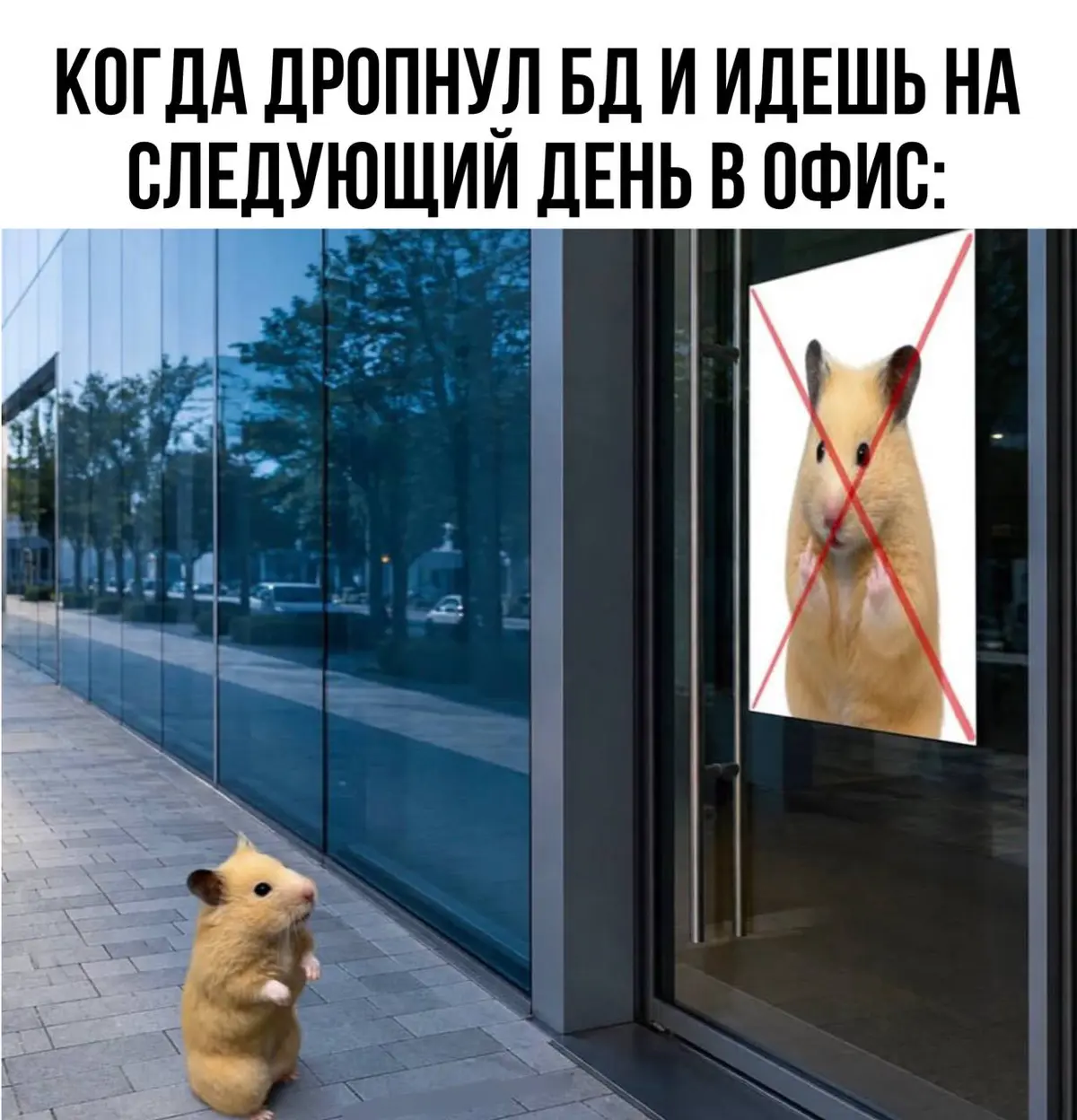 ESB-шина для маленьких и не особо одаренных | Сетка — социальная сеть от hh.ru