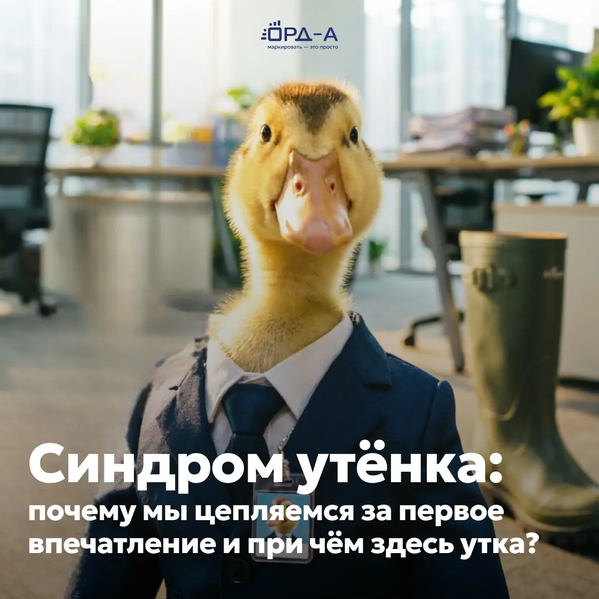 Почему нами движет синдром утёнка? | Сетка — социальная сеть от hh.ru