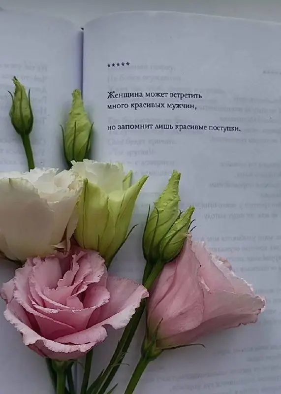 Жить вопреки всему
По истине щедрый и расцветающий период женщины начинается с ее внутренних волевых убеждений,мышления,уровня духовности | Сетка — социальная сеть от hh.ru