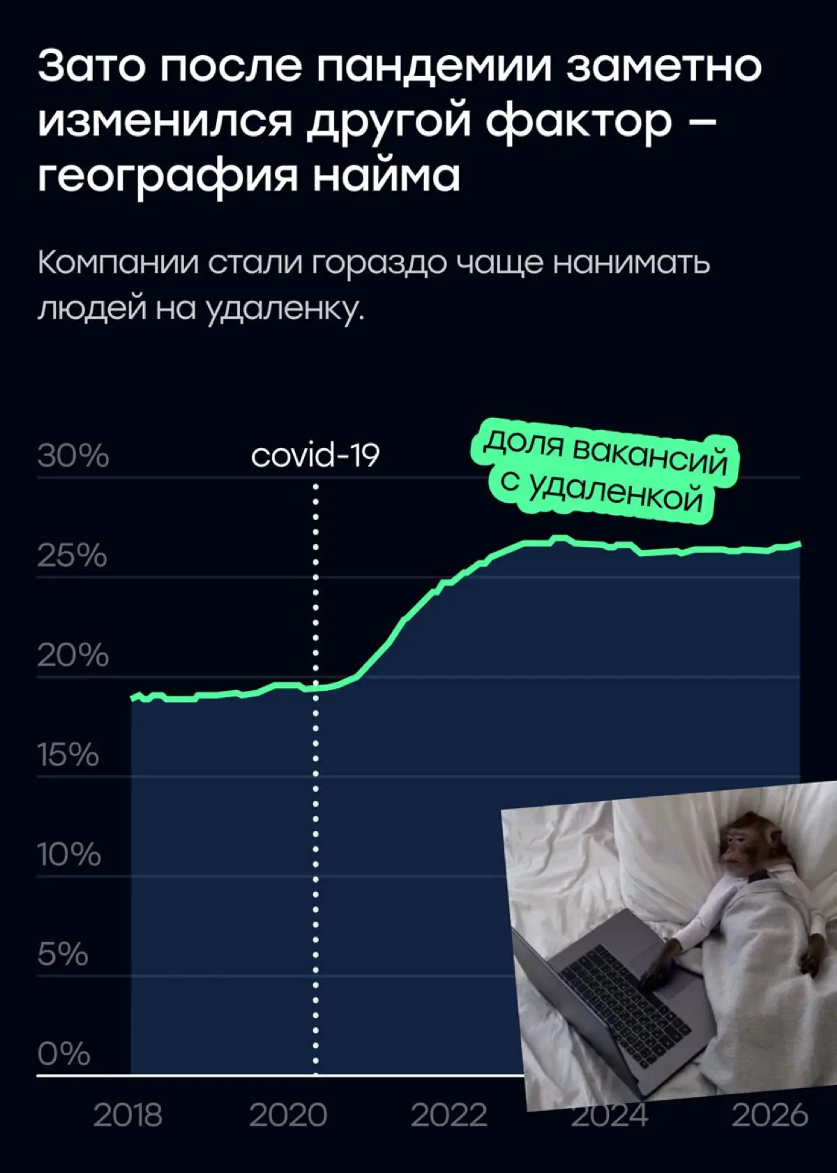 Работу у джунов забрал не ИИ, а удаленка | Сетка — социальная сеть от hh.ru