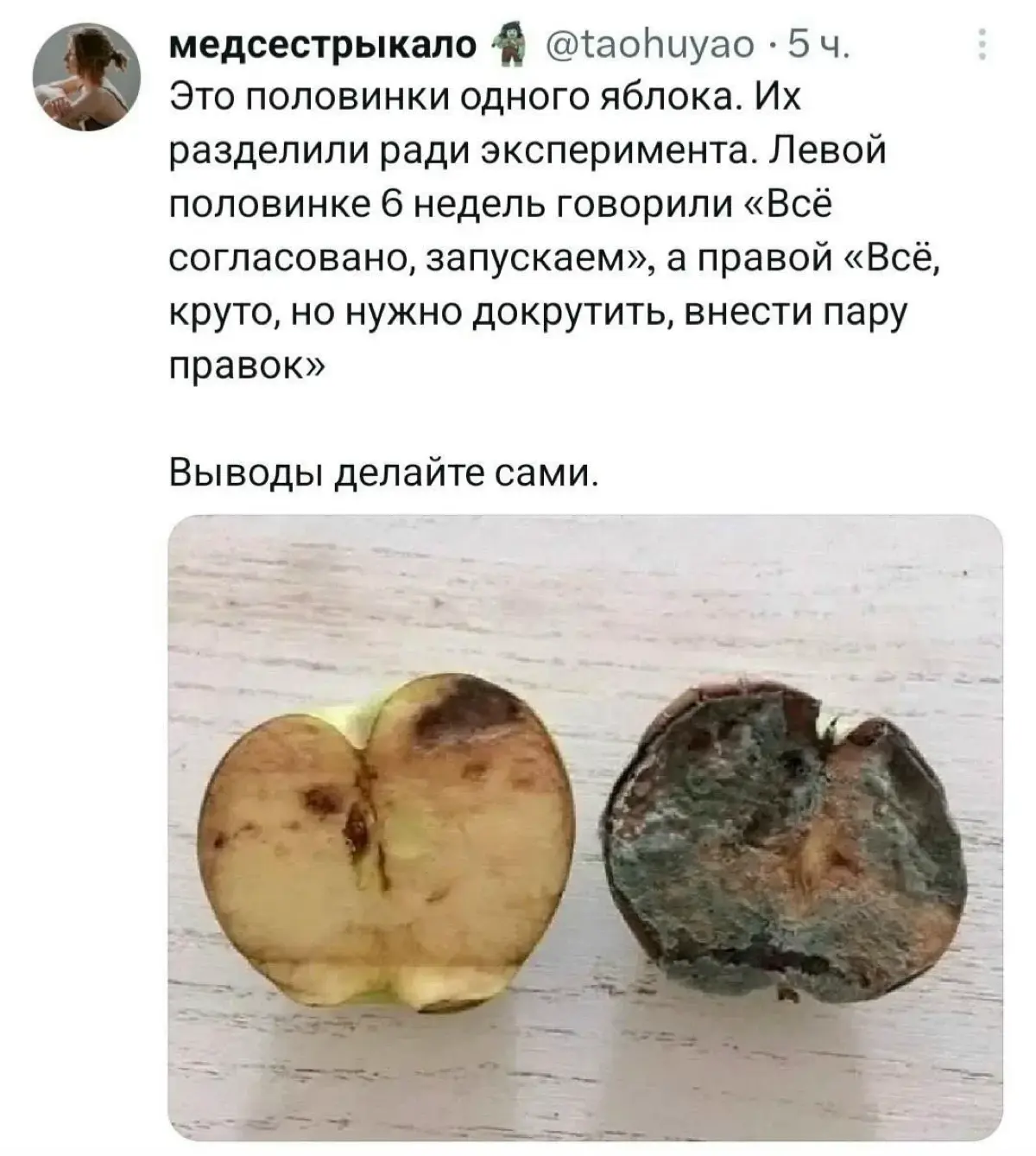 Сила мотивации в действии 💪 | Сетка — социальная сеть от hh.ru