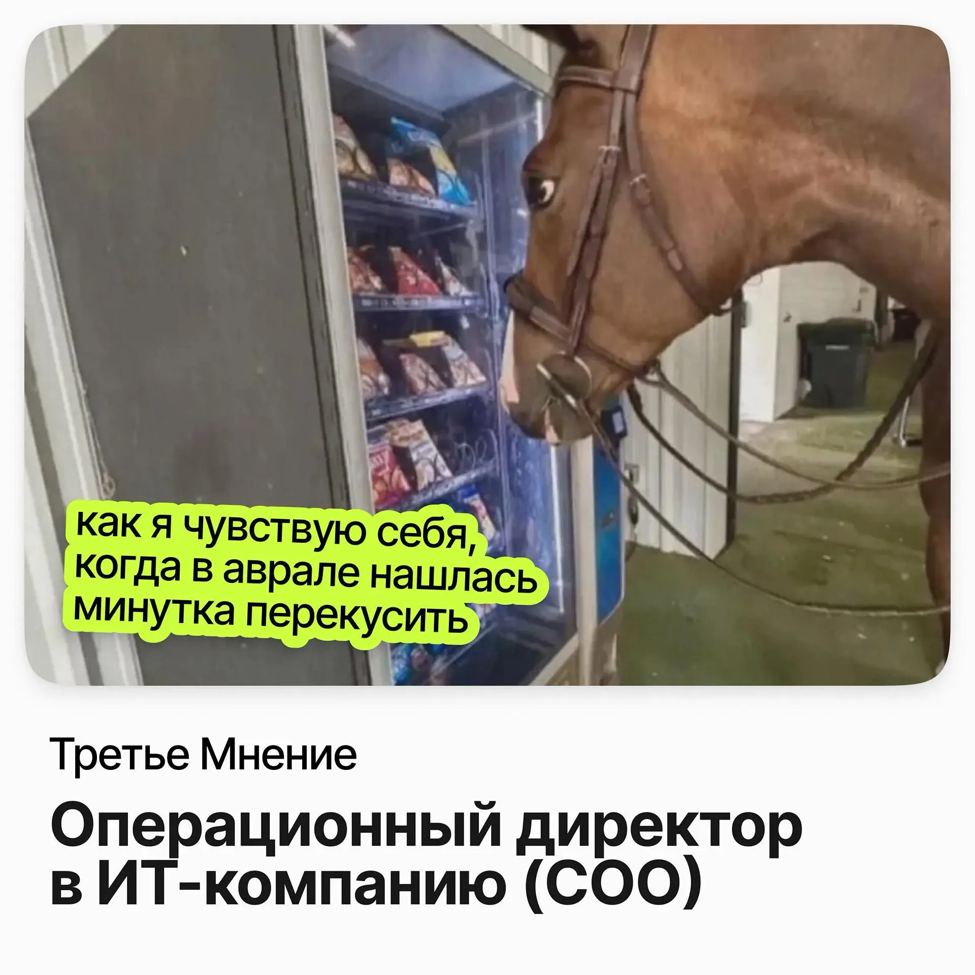 🧭 Операционный директор в ИТ-компанию, COO / Третье Мнение
Третье Мнение — разработчик ИИ-сервисов для здравоохранения: анализ медицинских снимков и системы поддержки врачебных решений | Сетка — социальная сеть от hh.ru