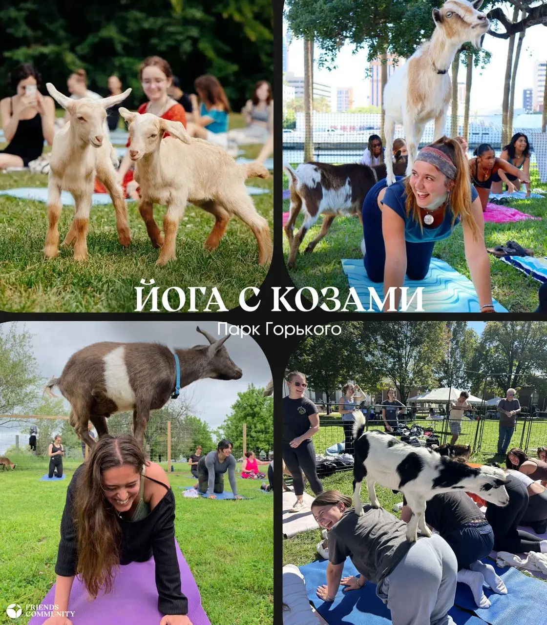Есть человек, которому давно хотелось выбраться куда-нибудь интересное?
Ты знаешь, что делать 👀
🎷 Jazz Reflection | Сетка — социальная сеть от hh.ru