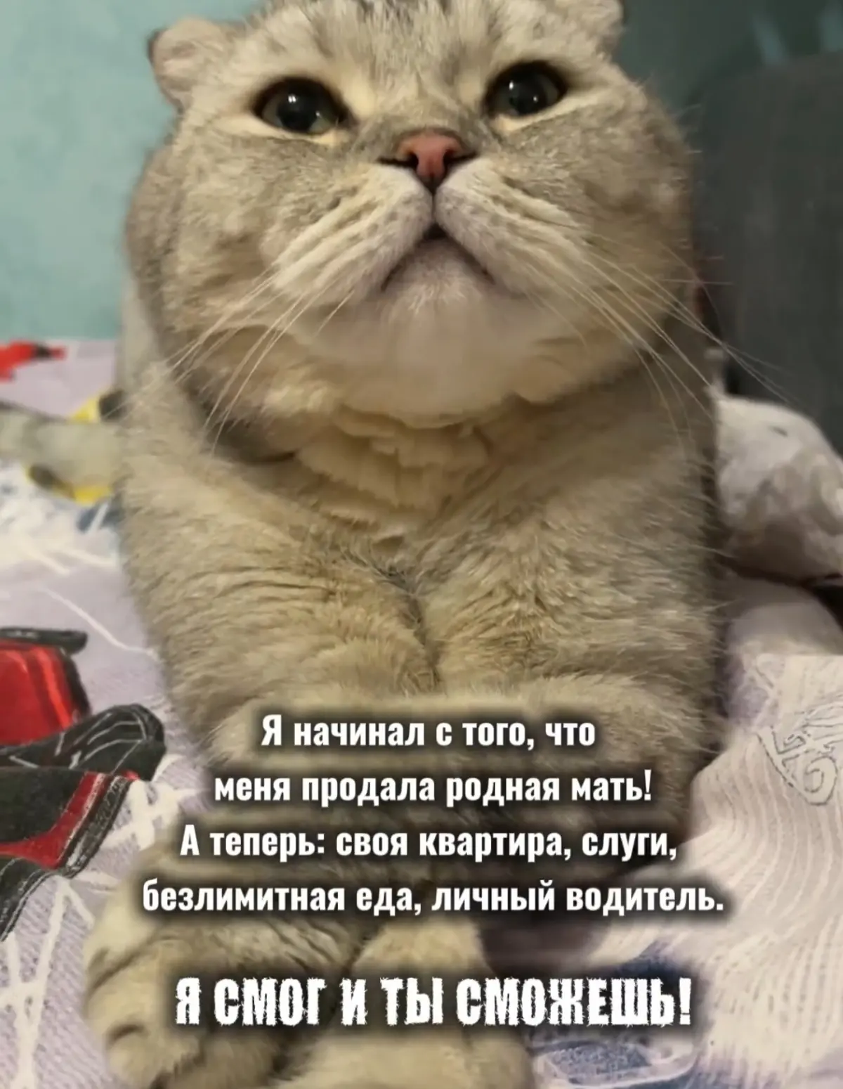 ПОДНЯЛСЯ САМ - ПОМОГУ И ВАМ 😽 | Сетка — социальная сеть от hh.ru