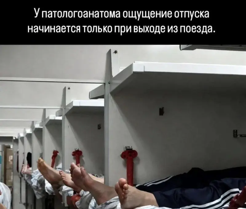 На пути в Сочи | Сетка — социальная сеть от hh.ru