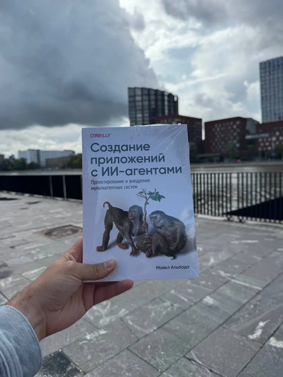 Вот такую красоту мне прислали почитать)
Начав читать я понял аудиторию, кому она подойдет)
В обзоре расскажу | Сетка — социальная сеть от hh.ru