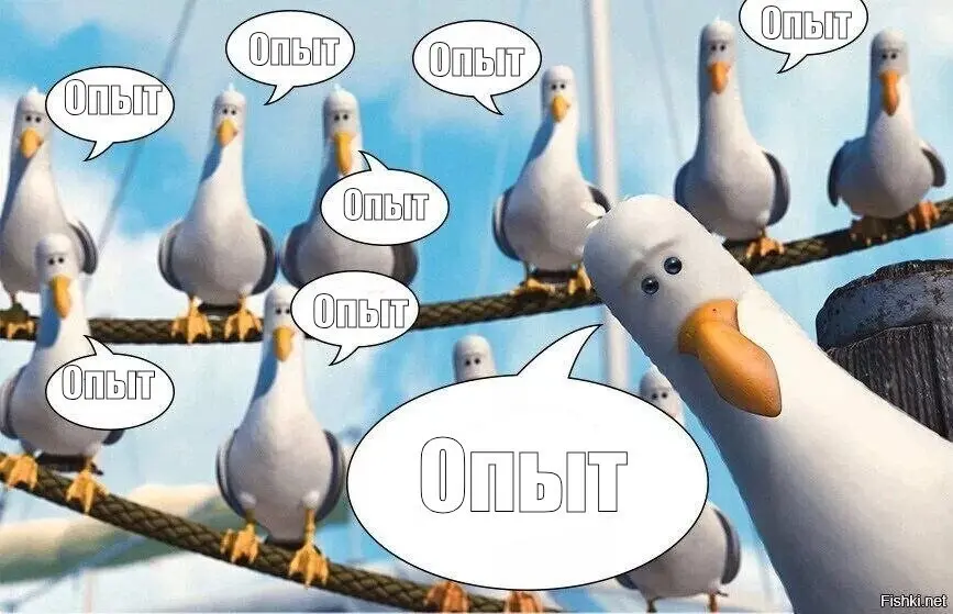 Подтверждённый опыт | Сетка — социальная сеть от hh.ru