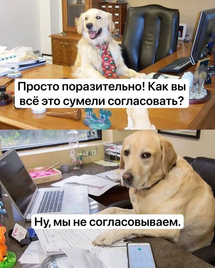 Публикация кейсов в B2B — боль маркетолога
При этом для любого вендора, дистрибьютера или интегратора публикация кейсов — задача #1 (Reason to believe, you know💁🏼‍♀️)
Есть тут две стороны | Сетка — социальная сеть от hh.ru