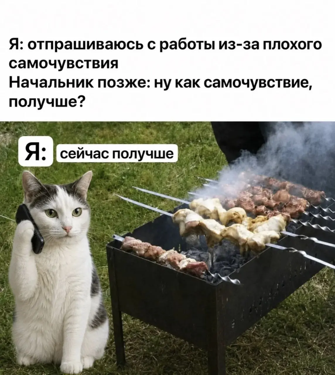 #пятничное #юмор #мемыоработе августовское 🍖 | Сетка — социальная сеть от hh.ru