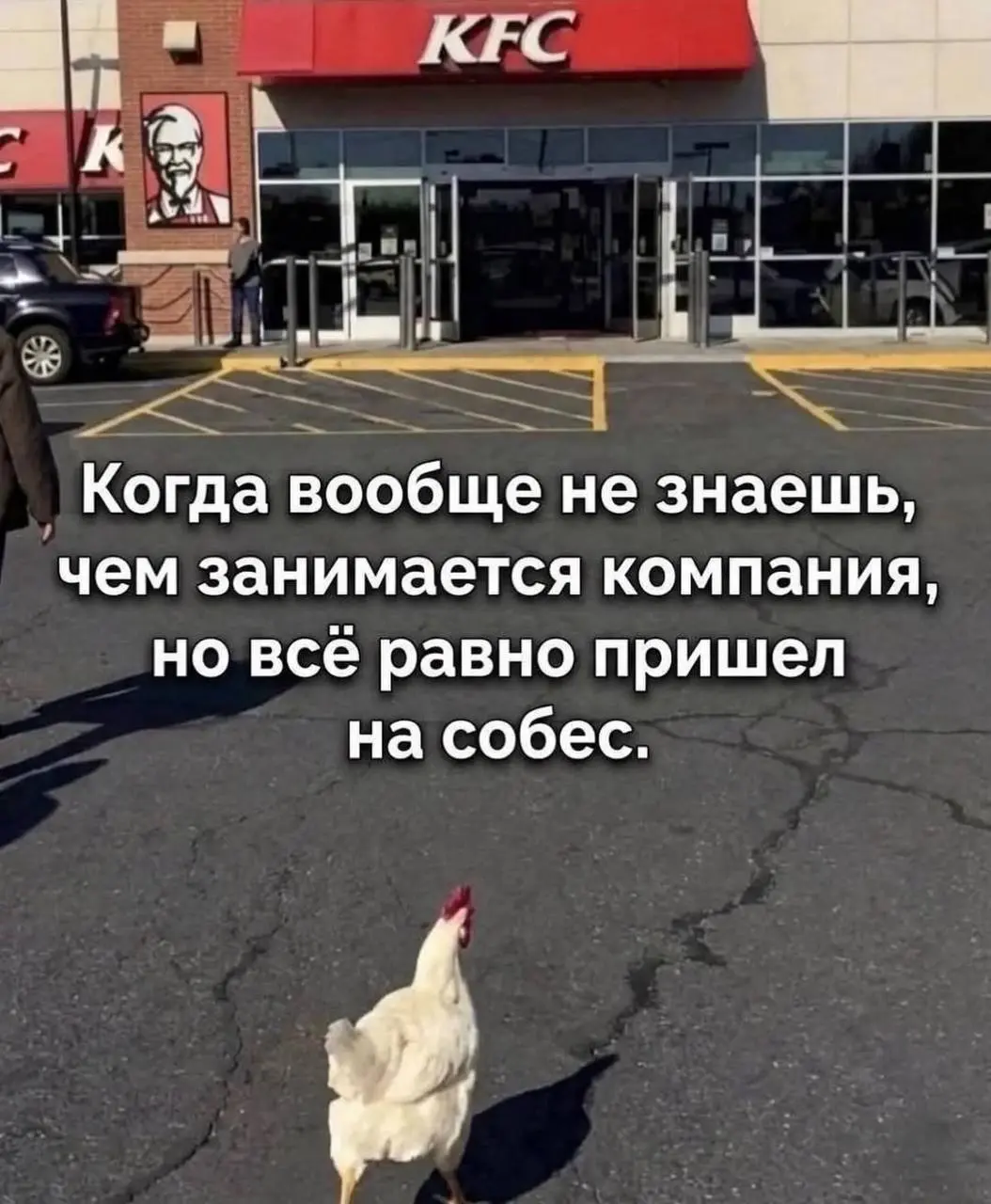 Пятничный совет.
Всегда идем на риск… всегда… | Сетка — социальная сеть от hh.ru