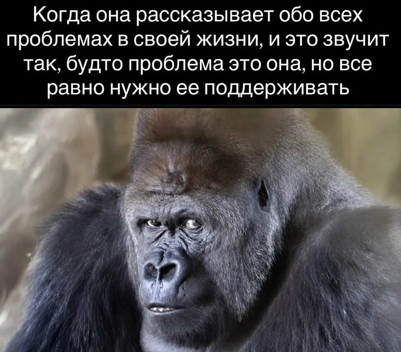 #пятничное
Ну че, было?
💯 - аххахаха, ваще
❤️ - да, но мне не разрешили смеяться над этой картинкой
🙈 - когда поняла, что это всегда ты) | Сетка — социальная сеть от hh.ru