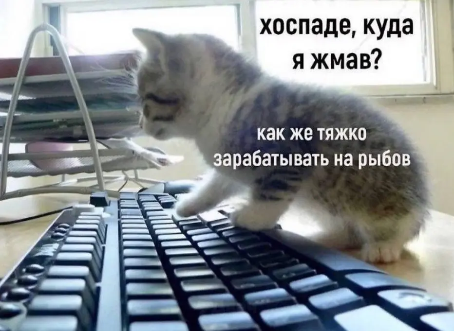 Когда открываешь  чат с коллегами, где висит 99+ непрочитанных сообщений...
#Интересное | Сетка — социальная сеть от hh.ru