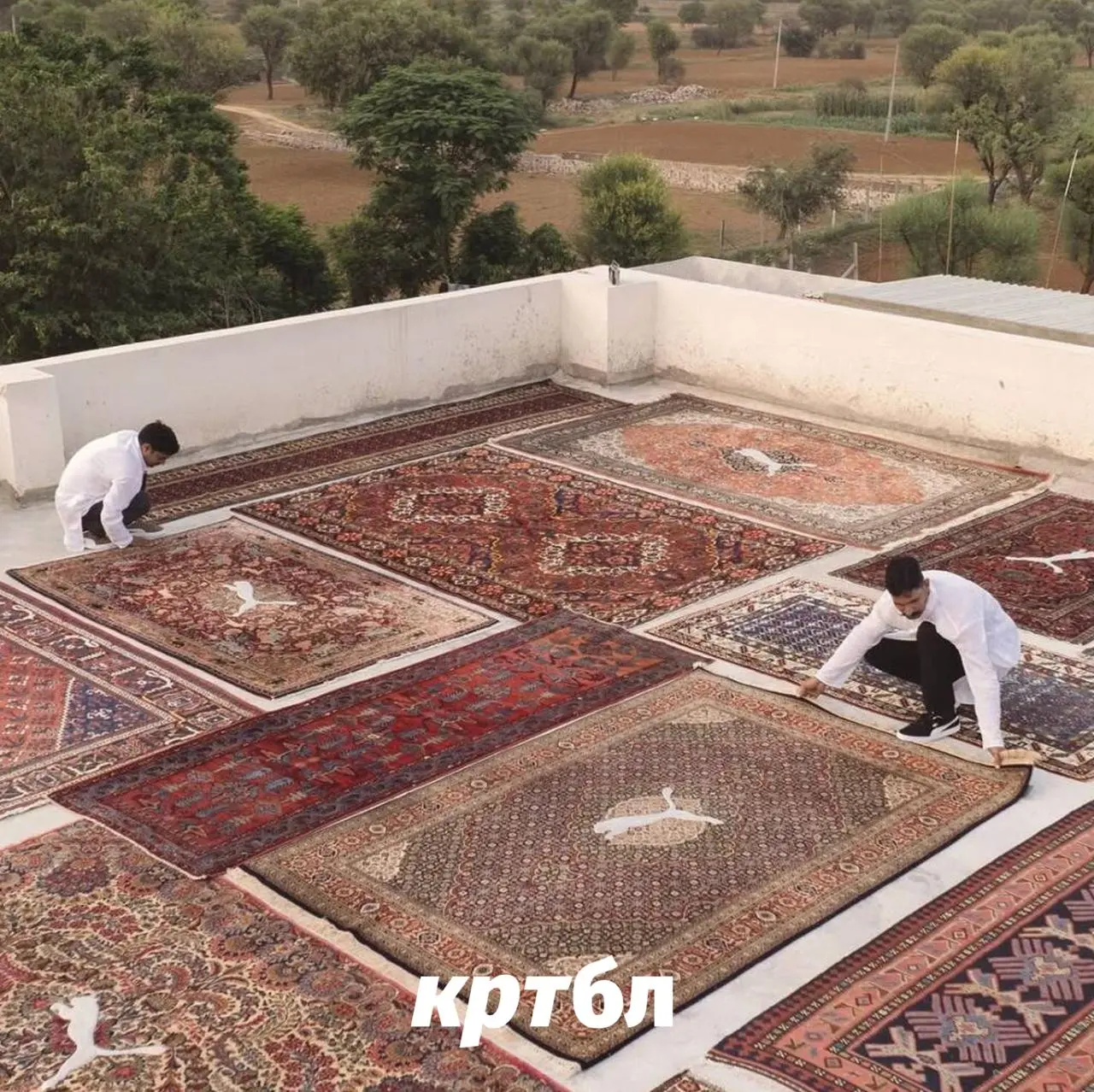 PUMA Х JAIPUR RUGS
#коллабобл
PUMA сделала коллаб с Jaipur Rugs — индийским брендом ковров ручной работы | Сетка — социальная сеть от hh.ru