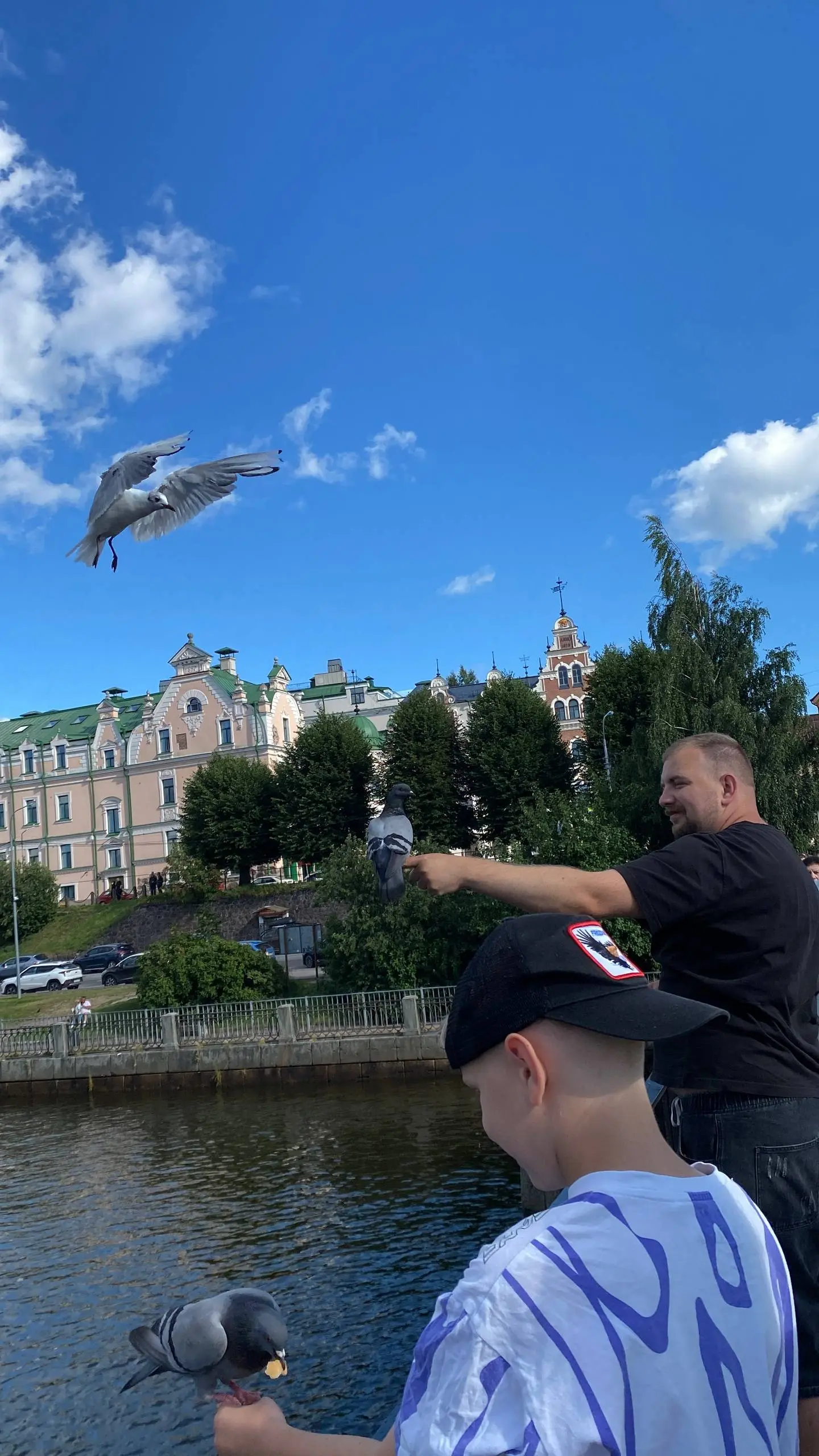 Приключения из отпуска так приключения из отпуска, как скажете👌
Итак, перед фестивалем мы поехали в Выборг через Великий Новгород
#Чечетовыопятькудатоедут
Великий Новгород просто был перевалочным пунк... | Сетка — социальная сеть от hh.ru