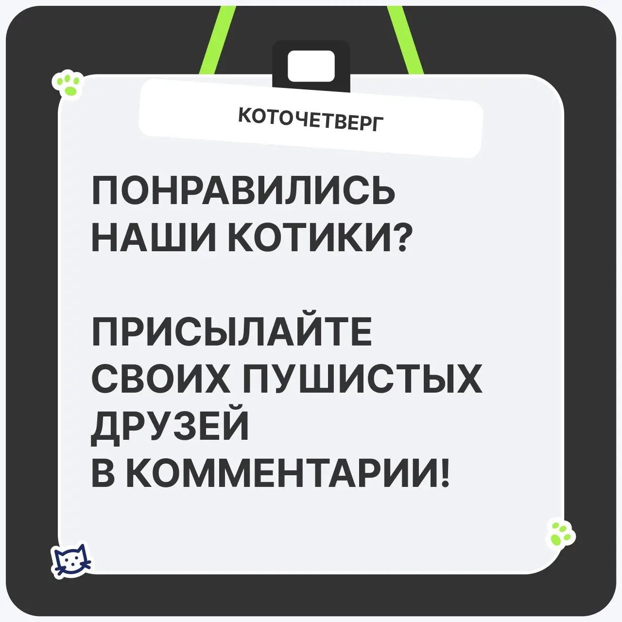 🤗Мокрый носик, замурчательное настроение
Кототема сама себя не раскроет — поэтому в этот четверг снова смотрим, кто у нас в ТехВилл отвечает за мурчание, уют и внезапное появление на созвоне | Сетка — социальная сеть от hh.ru