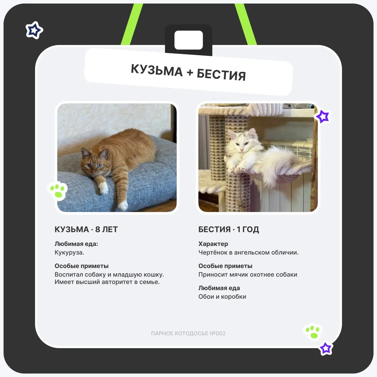 🤗Мокрый носик, замурчательное настроение
Кототема сама себя не раскроет — поэтому в этот четверг снова смотрим, кто у нас в ТехВилл отвечает за мурчание, уют и внезапное появление на созвоне | Сетка — социальная сеть от hh.ru