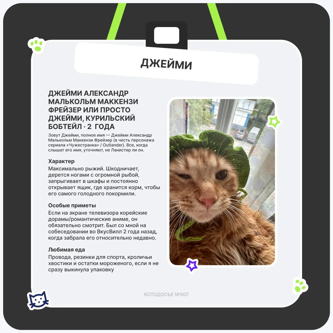 🤗Мокрый носик, замурчательное настроение
Кототема сама себя не раскроет — поэтому в этот четверг снова смотрим, кто у нас в ТехВилл отвечает за мурчание, уют и внезапное появление на созвоне | Сетка — социальная сеть от hh.ru