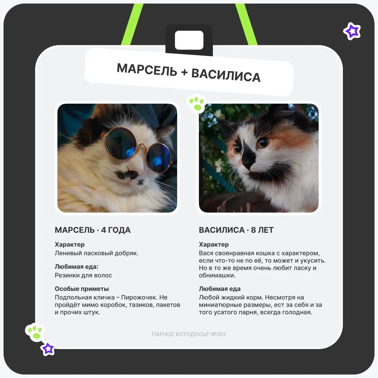 🤗Мокрый носик, замурчательное настроение
Кототема сама себя не раскроет — поэтому в этот четверг снова смотрим, кто у нас в ТехВилл отвечает за мурчание, уют и внезапное появление на созвоне | Сетка — социальная сеть от hh.ru