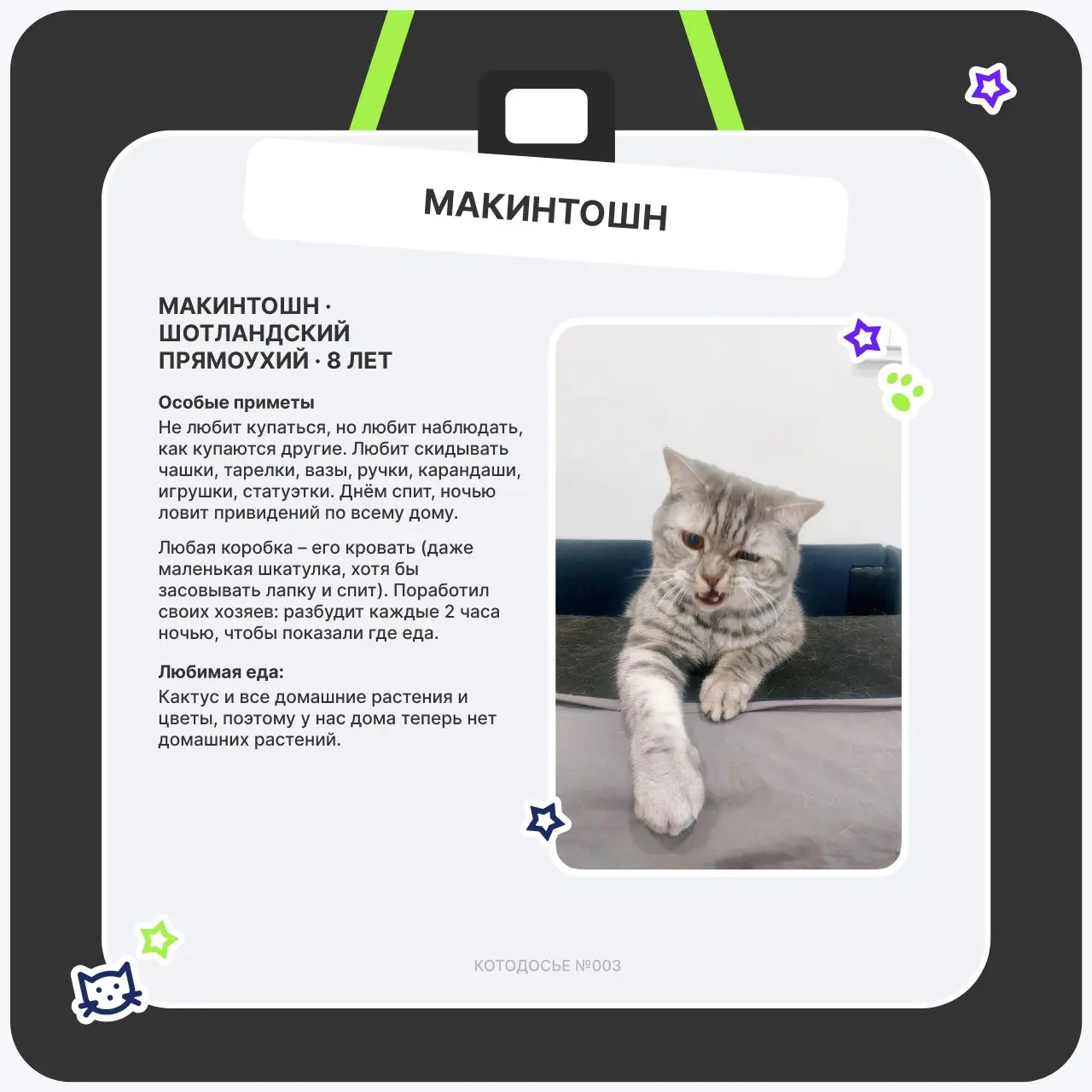 🤗Мокрый носик, замурчательное настроение
Кототема сама себя не раскроет — поэтому в этот четверг снова смотрим, кто у нас в ТехВилл отвечает за мурчание, уют и внезапное появление на созвоне | Сетка — социальная сеть от hh.ru