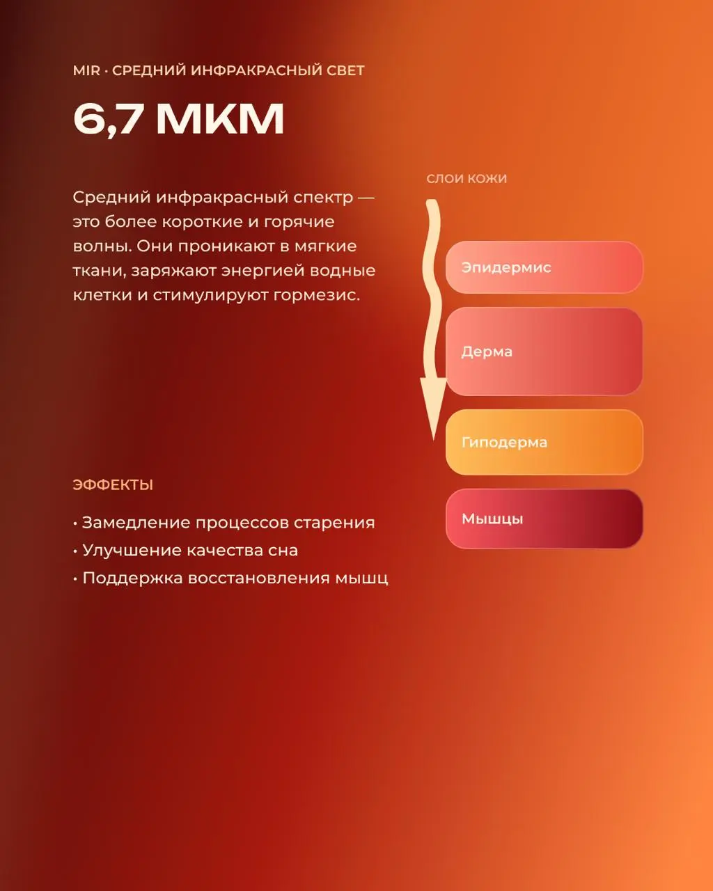🗣Инфракрасный спектр: какой свет проникает в мышцы, а какой — работает с кожей?
Не весь инфракрасный свет работает одинаково | Сетка — социальная сеть от hh.ru