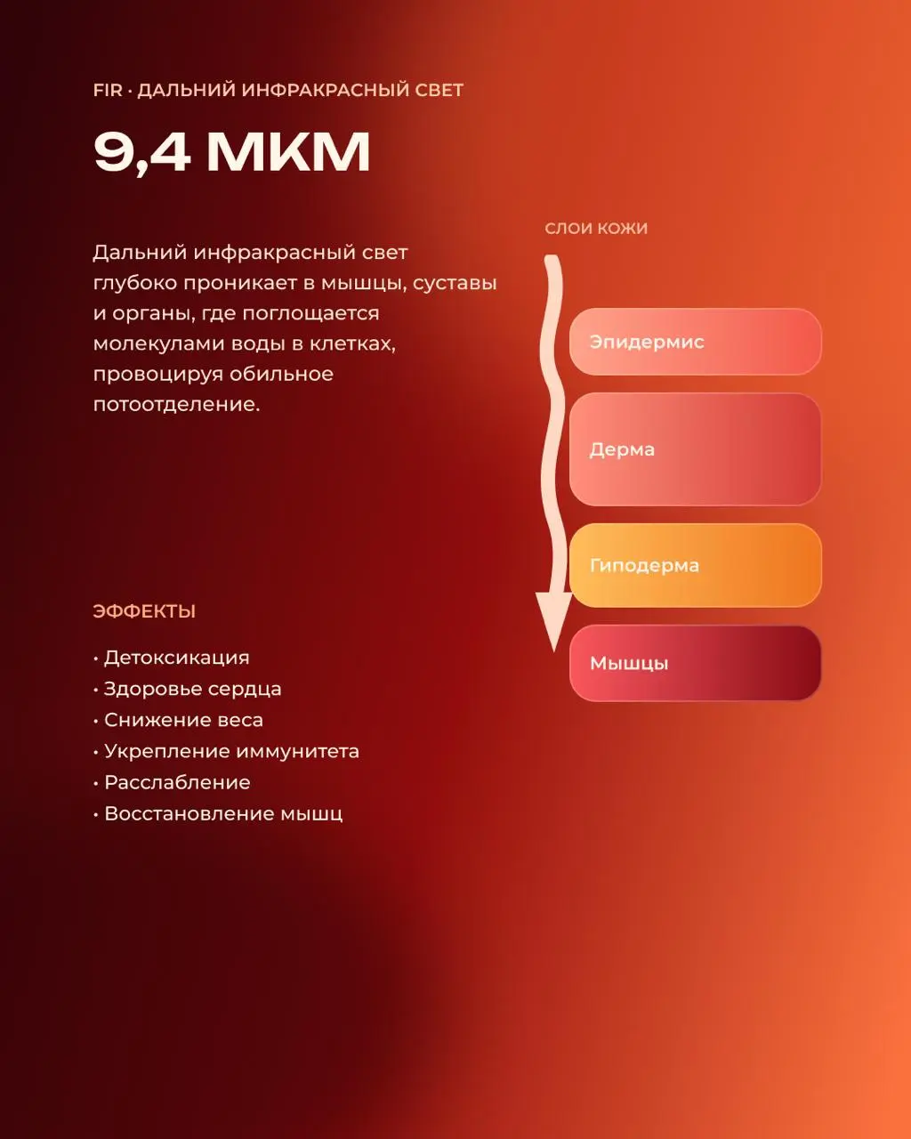 🗣Инфракрасный спектр: какой свет проникает в мышцы, а какой — работает с кожей?
Не весь инфракрасный свет работает одинаково | Сетка — социальная сеть от hh.ru