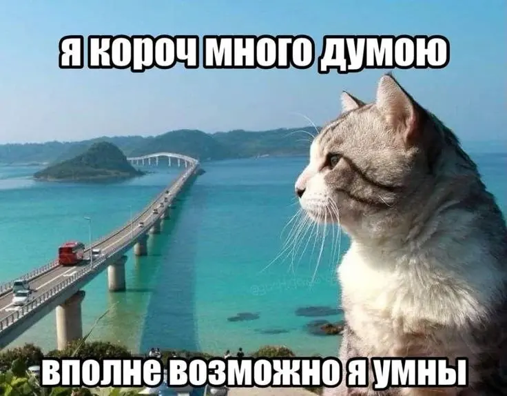 Всю неделю, в свободное от отдыха время, я возился с ПЛИСом, документациями и всяким прочим. И вдруг ХУЯК. Удаленный комп вырубился | Сетка — социальная сеть от hh.ru