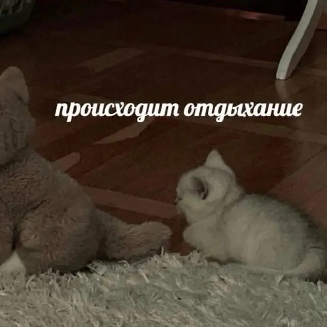 Выходные не обязаны приносить пользу | Сетка — социальная сеть от hh.ru