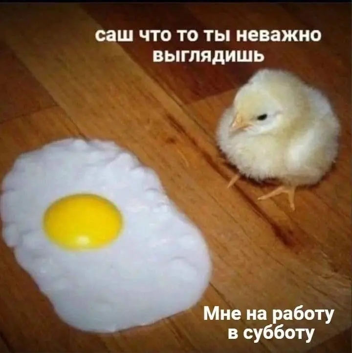 Главное собраться с силами | Сетка — социальная сеть от hh.ru