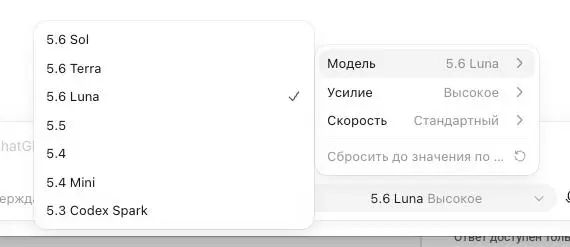 Всё как в жизни. Стажер, Джун, Мидл, Сеньор. И работает всегда только среднее звено. Остальные на созвонах или шныри. | Сетка — социальная сеть от hh.ru