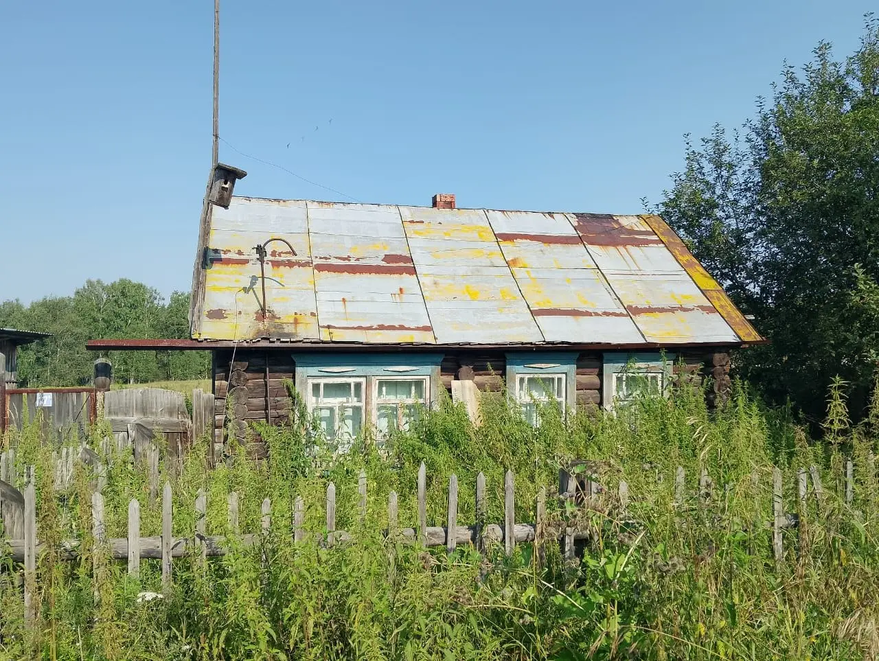 Вот фото отчет с нашего небольшого путешествия -приключения.
Около 20 лет как, брошенный дом деда моего мужа в деревне Чёрный мыс | Сетка — социальная сеть от hh.ru