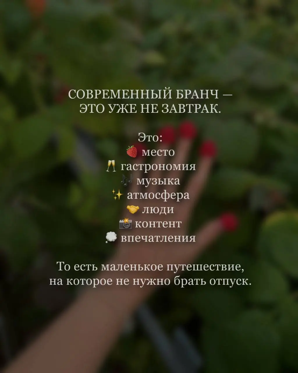 Почему все снова хотят на бранчи? 🥂
Кажется, сегодня бранч — это уже не просто поздний завтрак | Сетка — социальная сеть от hh.ru
