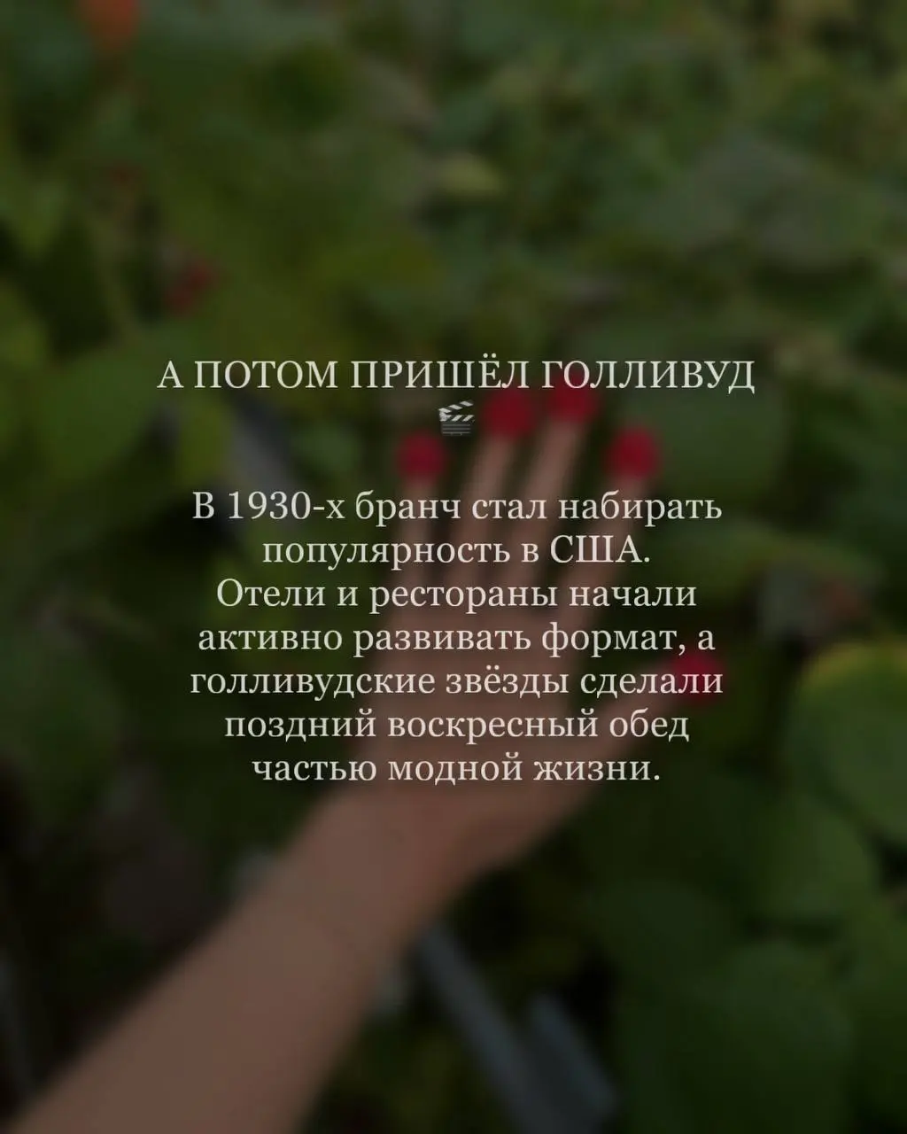 Почему все снова хотят на бранчи? 🥂
Кажется, сегодня бранч — это уже не просто поздний завтрак | Сетка — социальная сеть от hh.ru