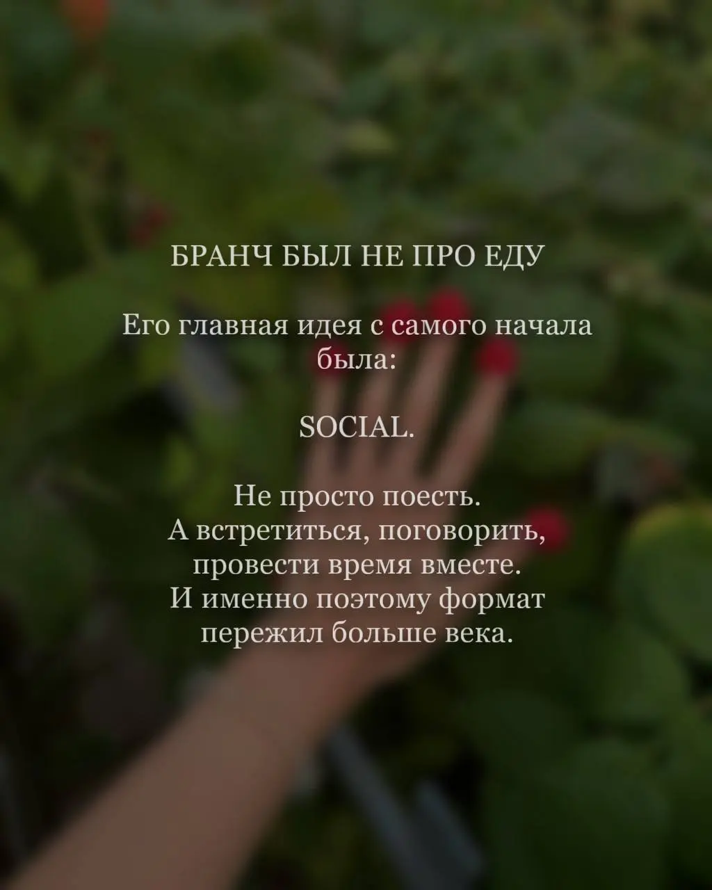 Почему все снова хотят на бранчи? 🥂
Кажется, сегодня бранч — это уже не просто поздний завтрак | Сетка — социальная сеть от hh.ru