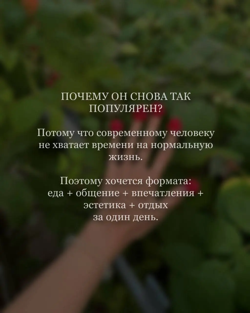 Почему все снова хотят на бранчи? 🥂
Кажется, сегодня бранч — это уже не просто поздний завтрак | Сетка — социальная сеть от hh.ru