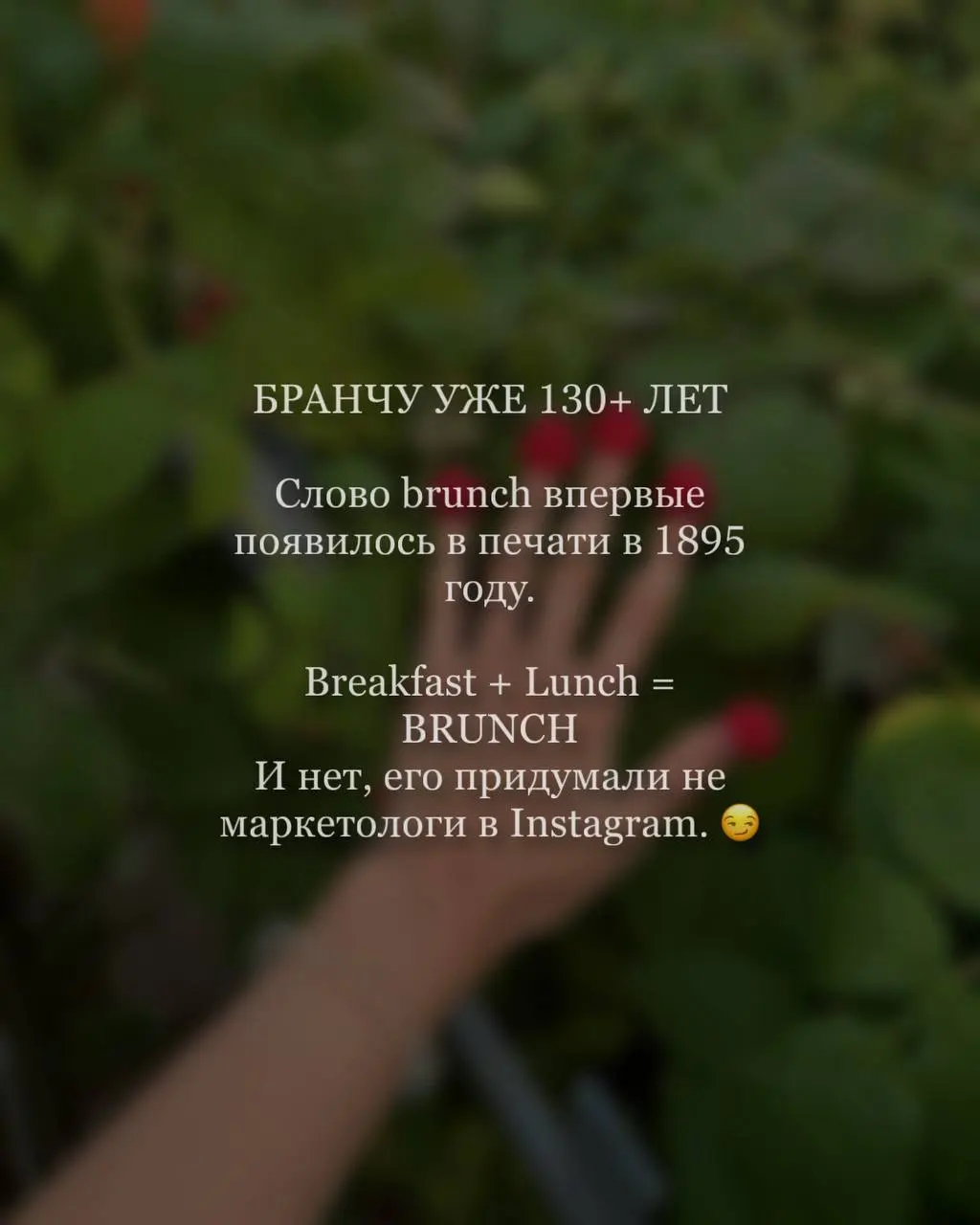 Почему все снова хотят на бранчи? 🥂
Кажется, сегодня бранч — это уже не просто поздний завтрак | Сетка — социальная сеть от hh.ru