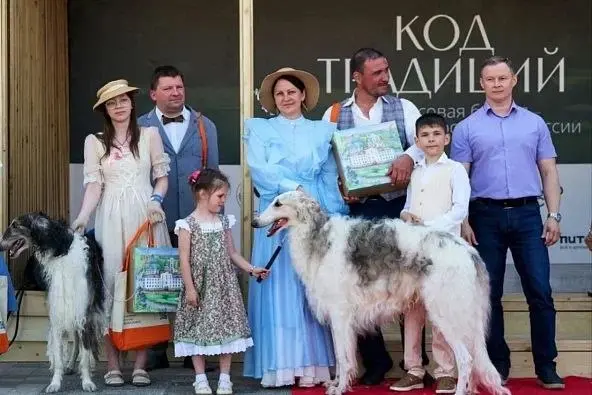 Русская псовая борзая — шедевр отечественной культуры
#Остафьево #Фестиваль #Собаки #Борзая | Сетка — социальная сеть от hh.ru