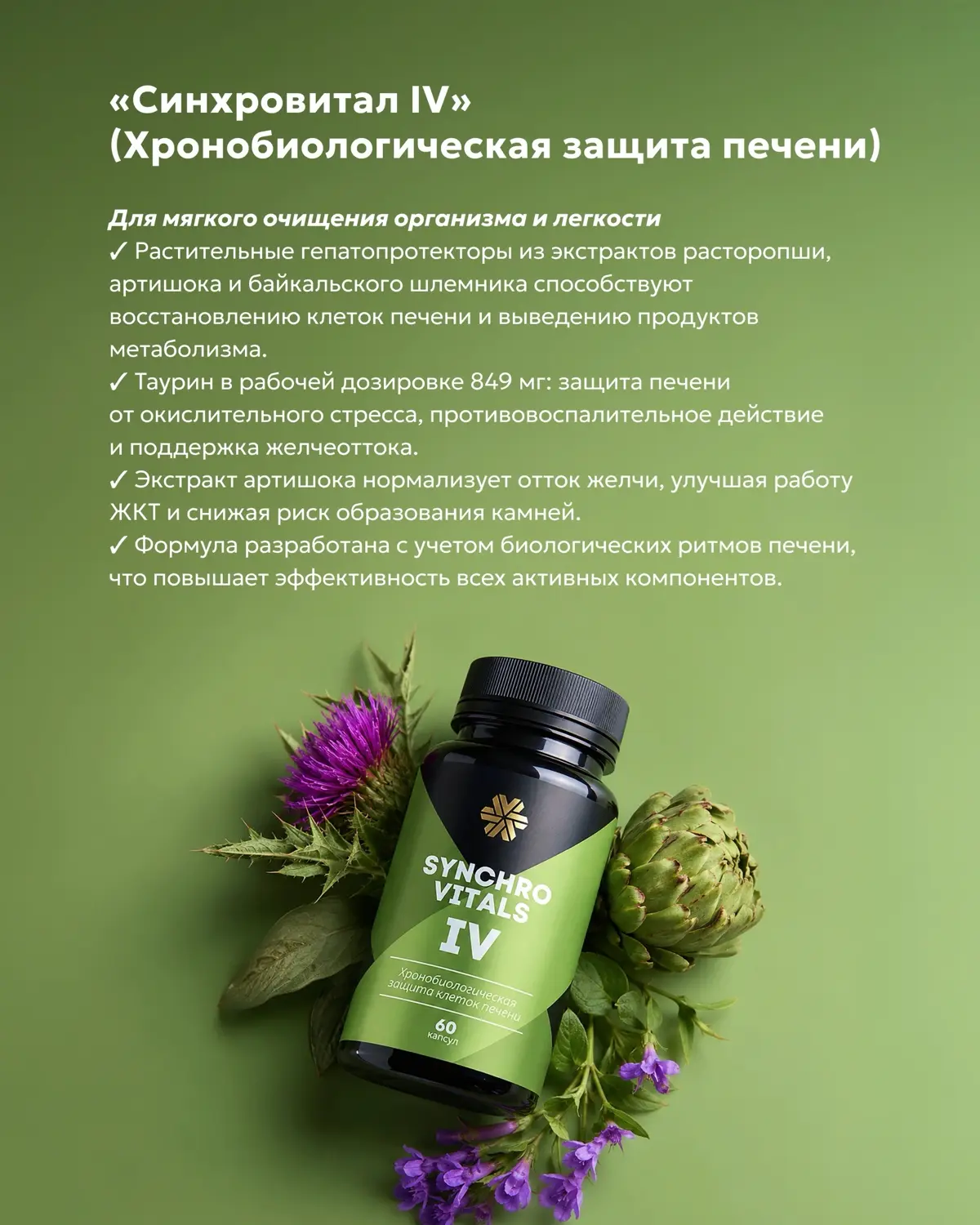 Летом мы хотим все успеть… | Сетка — социальная сеть от hh.ru