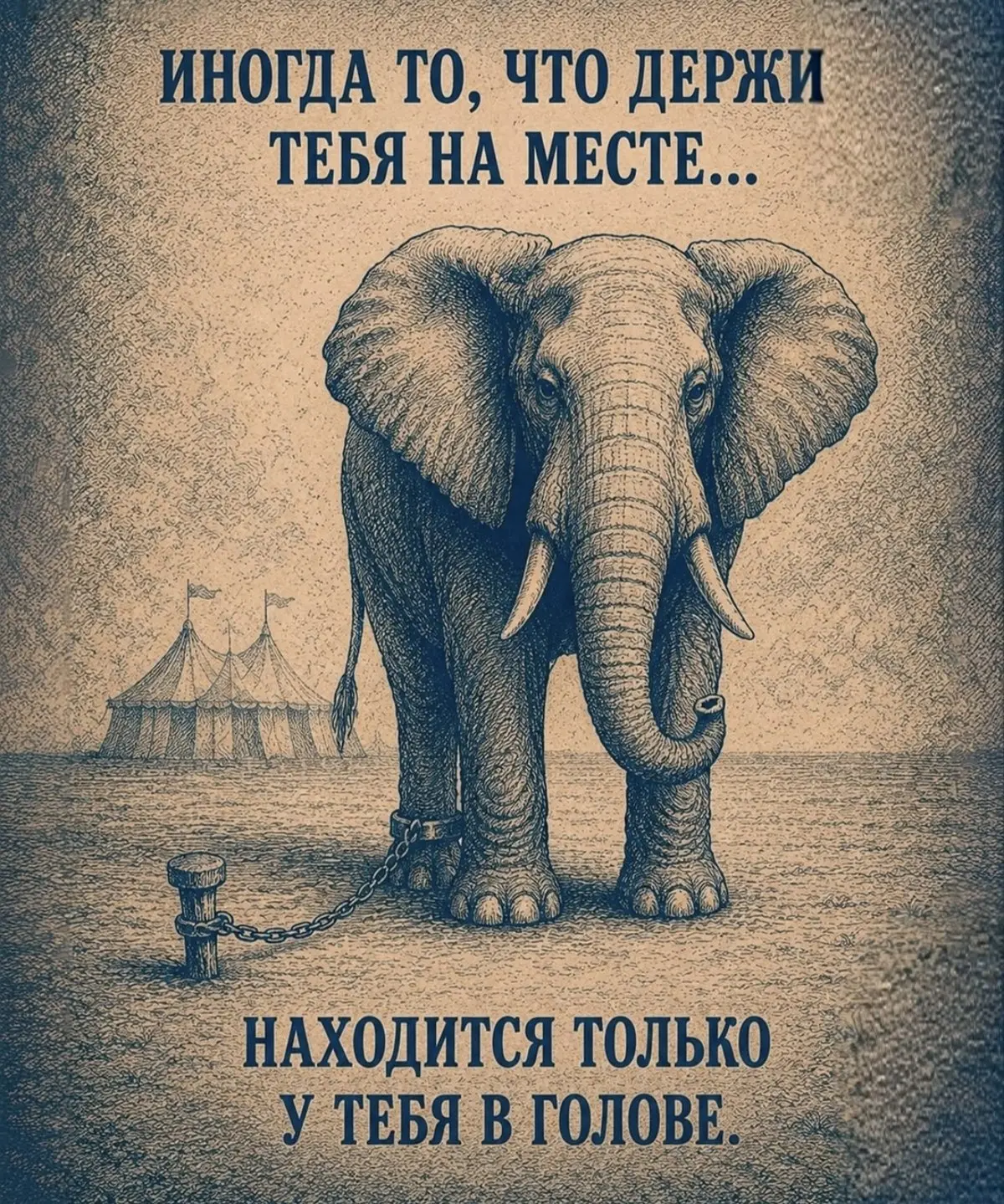 Почему я все время откладываю важные дела?
Представьте себе Анну. Ей 30 лет, она работает в компании и мечтает о запуске своего дела | Сетка — социальная сеть от hh.ru