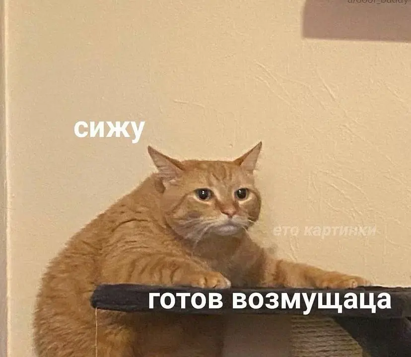 А дизайнер вообще должен уметь всё? | Сетка — социальная сеть от hh.ru