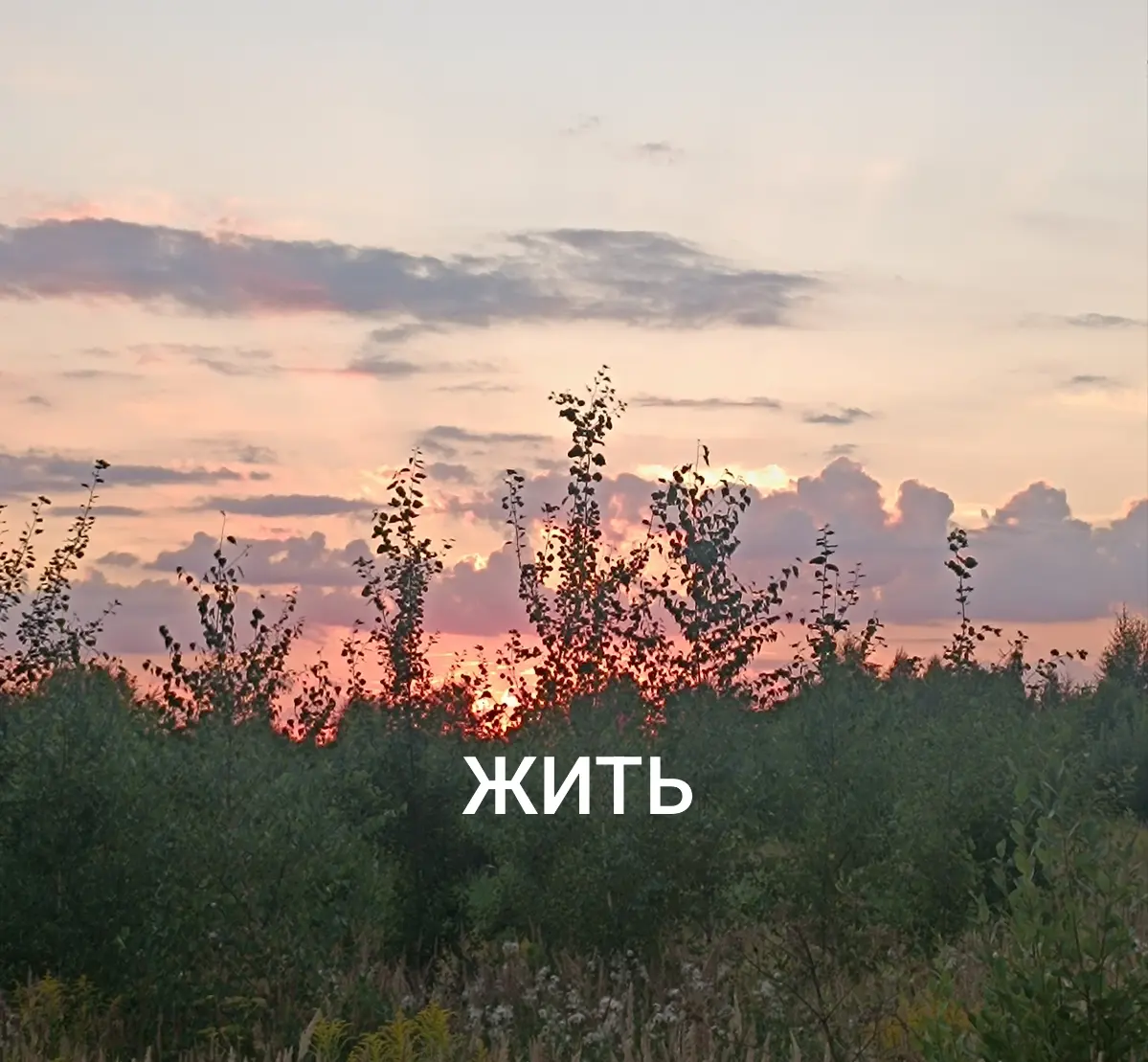 Идите нафиг со своей чашкой кофе | Сетка — социальная сеть от hh.ru