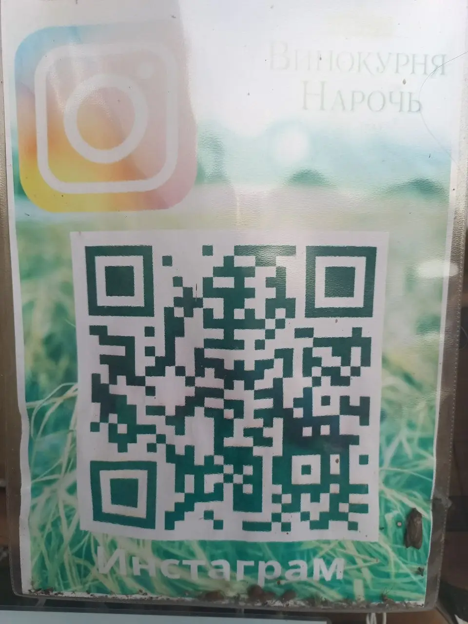 Заехали на винный завод чтоб на экскурсию сходить, но увы он оказался закрытым. Придётся ехать в другой день. | Сетка — социальная сеть от hh.ru