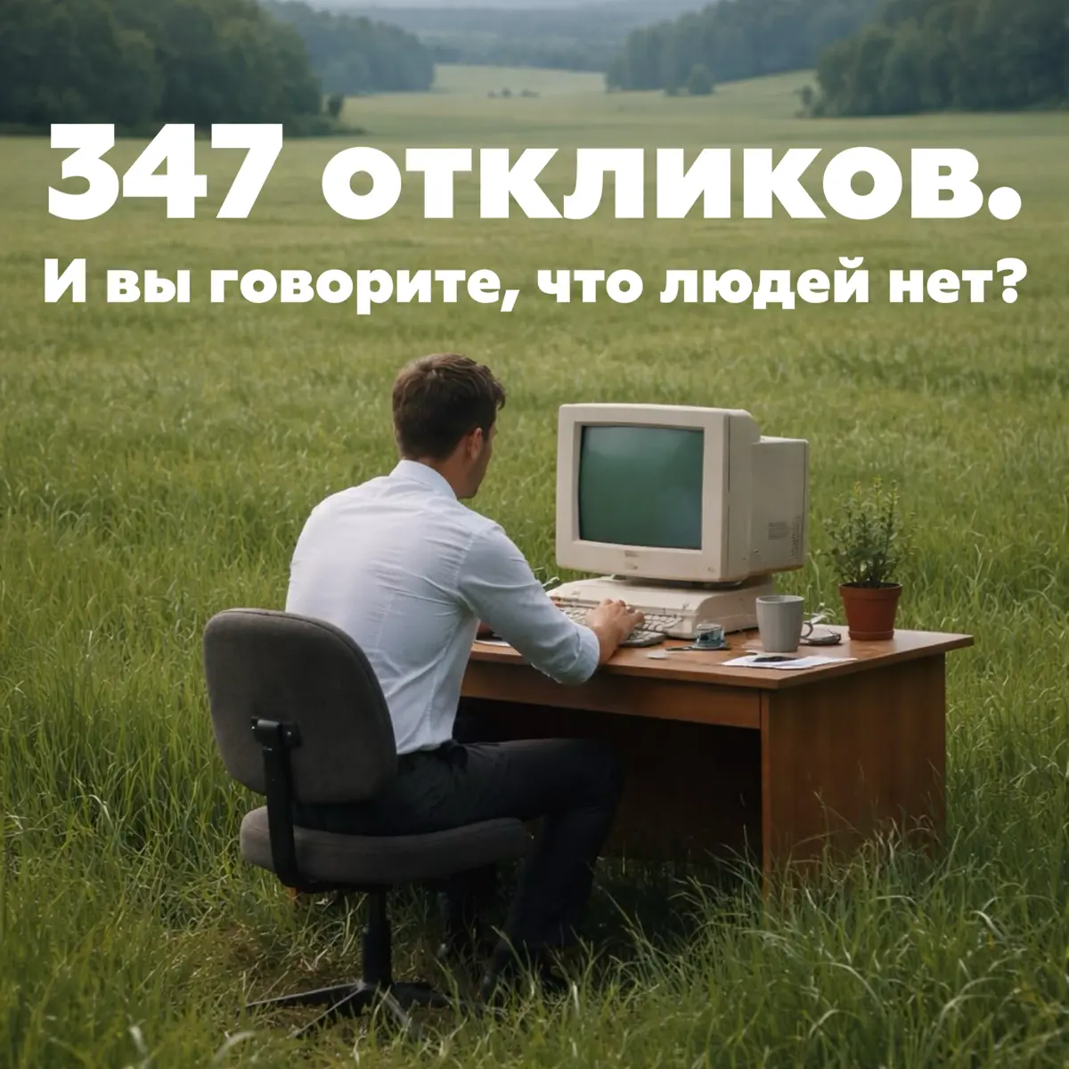 🔥Пятница. 347 откликов на вакансию джуна. | Сетка — социальная сеть от hh.ru