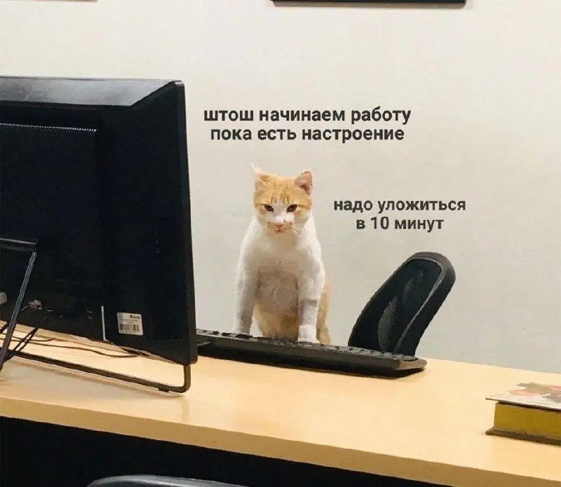 Всем хорошего начала недели! | Сетка — социальная сеть от hh.ru