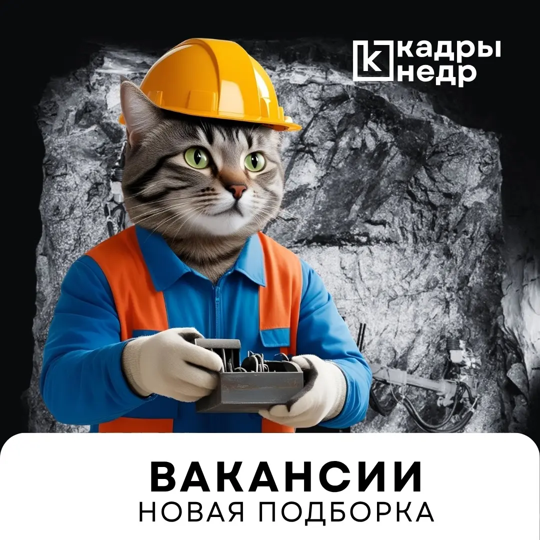 Новая подборка вакансий | Сетка — социальная сеть от hh.ru