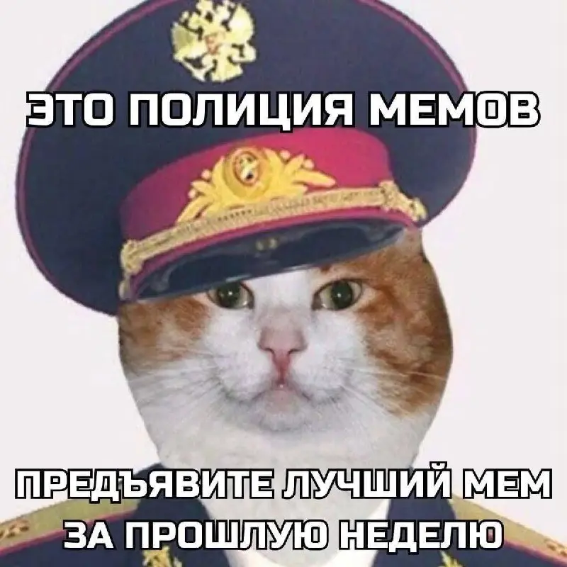 #test | Сетка — социальная сеть от hh.ru