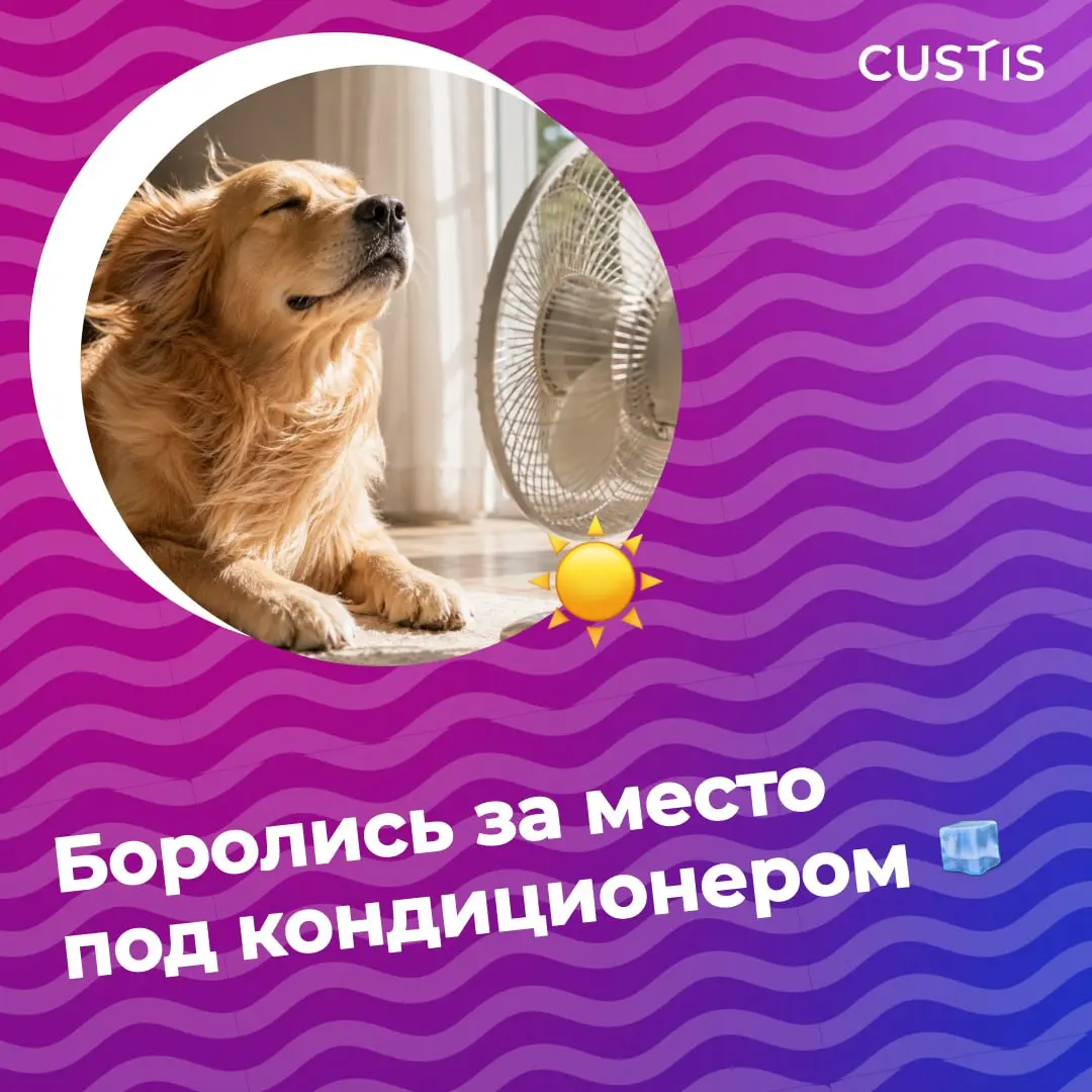 Лето, не спеши! ⚪️
До сентября осталось всего 2 недели — но это не повод расстраиваться, ведь ещё есть время успеть всё, что откладывали «на лето» 😉
Проверяем, сколько пунктов нашего летнего бинго уже... | Сетка — социальная сеть от hh.ru